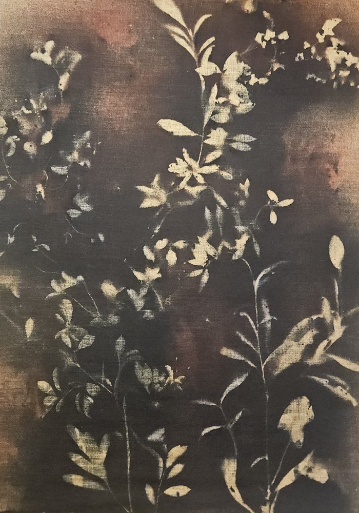 Ciemne botaniczne sylwetki autorstwa Stefano Mazzolini