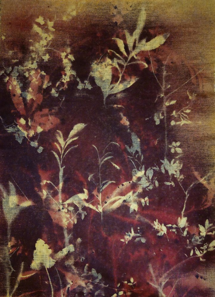 Ciemne botaniczne sylwetki autorstwa Stefano Mazzolini