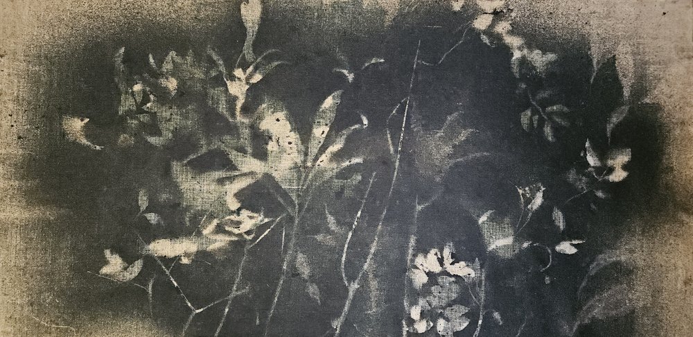 Mroczne studium botaniczne autorstwa Stefano Mazzolini