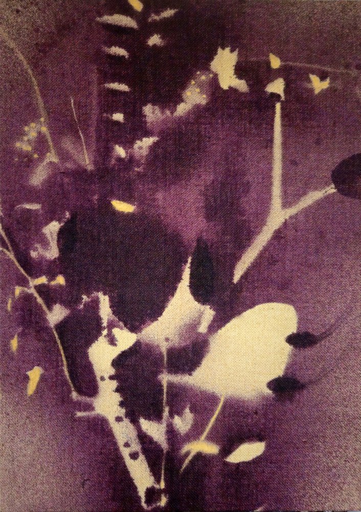Ciemnofioletowe motywy botaniczne autorstwa Stefano Mazzolini
