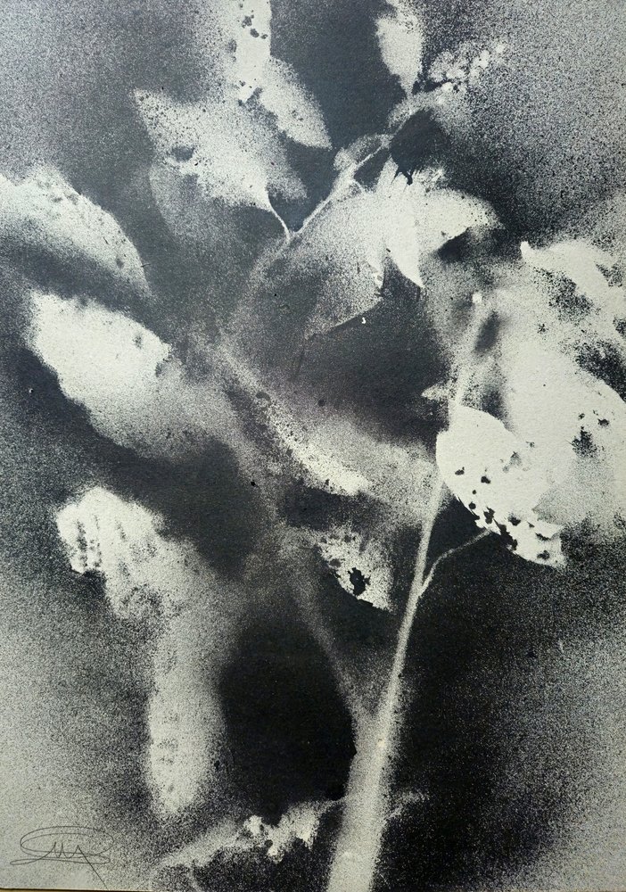 Monochromatyczne studium botaniczne autorstwa Stefano Mazzolini