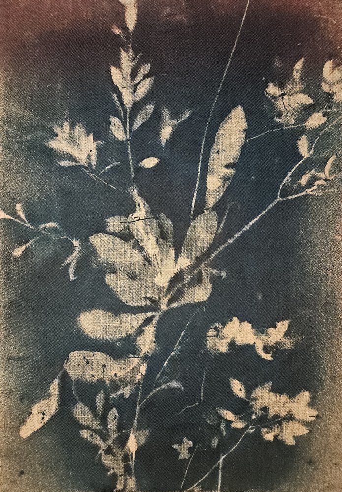 Niebieskie motywy botaniczne vintage autorstwa Stefano Mazzolini