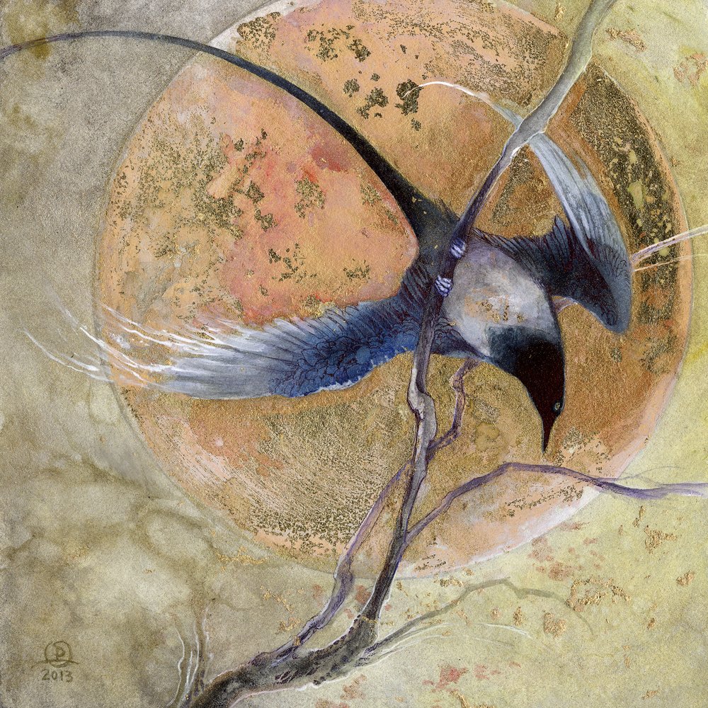  autorstwa Stephanie Law