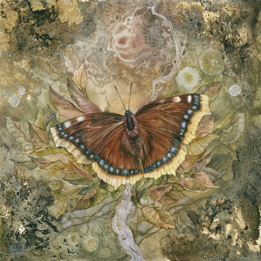  autorstwa Stephanie Law