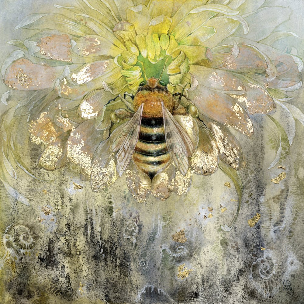  autorstwa Stephanie Law