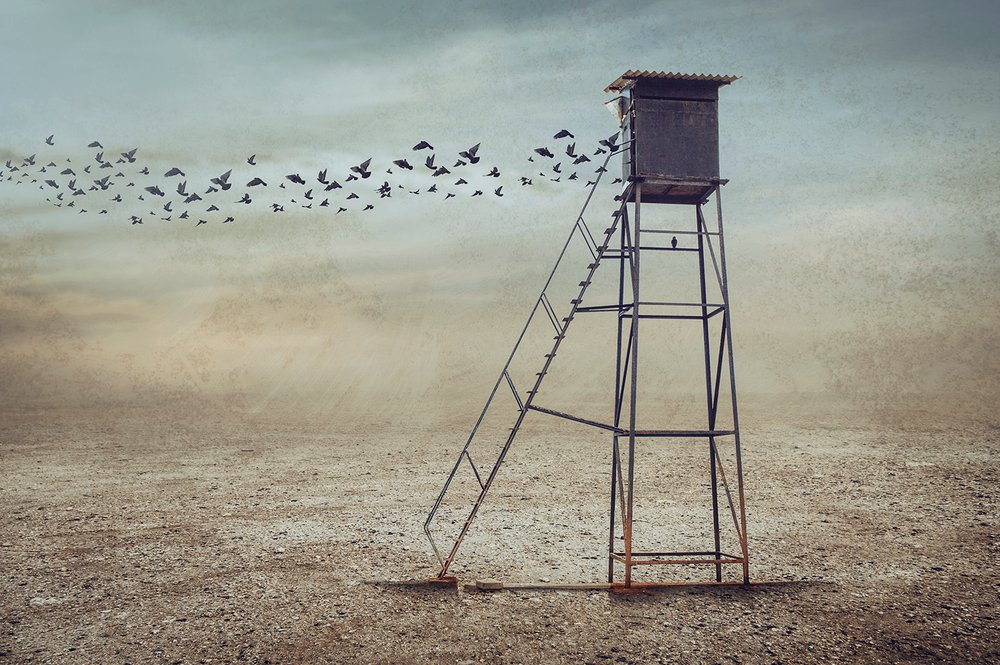  autorstwa Sulaiman Almawash