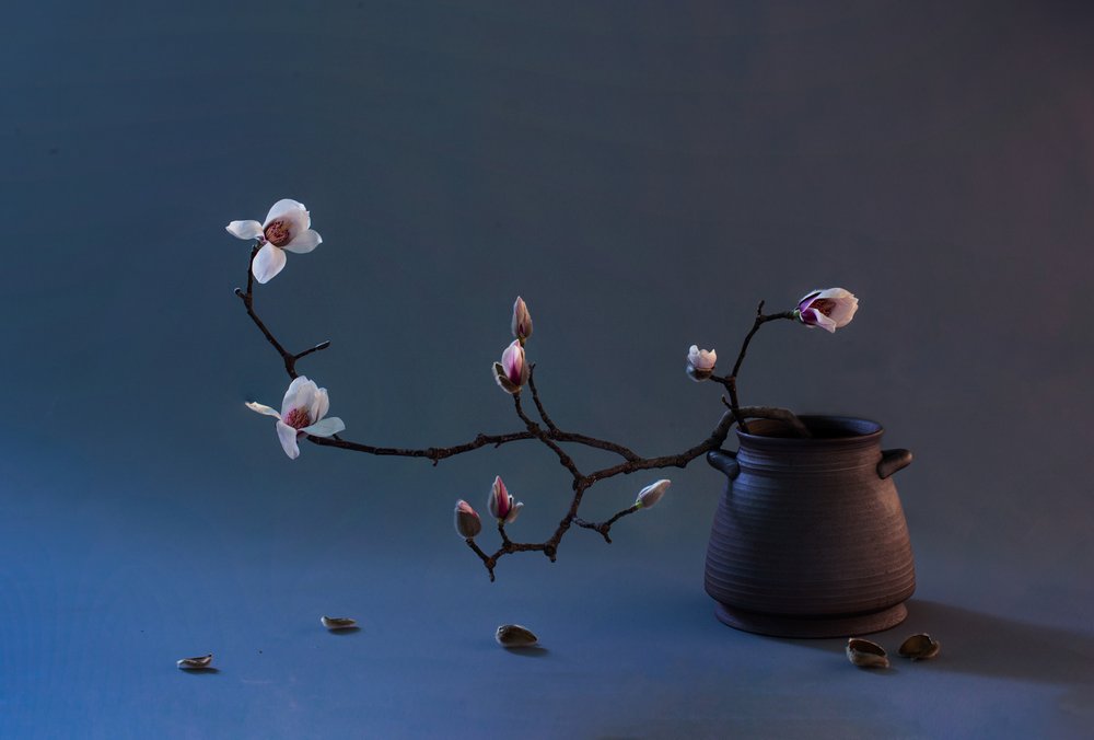 Kwiat magnolii w stylu zen autorstwa Summer2016