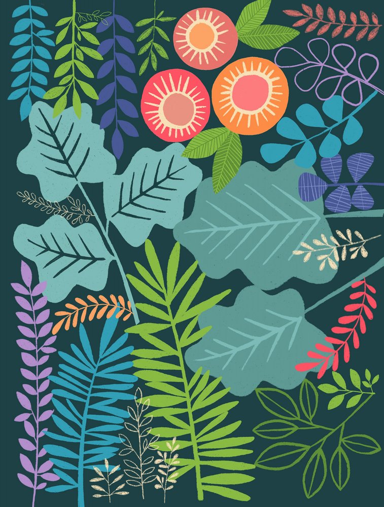  autorstwa Susan Black