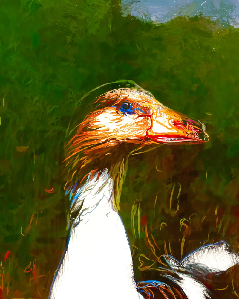 Żywy portret gęsi autorstwa Uma Gokhale