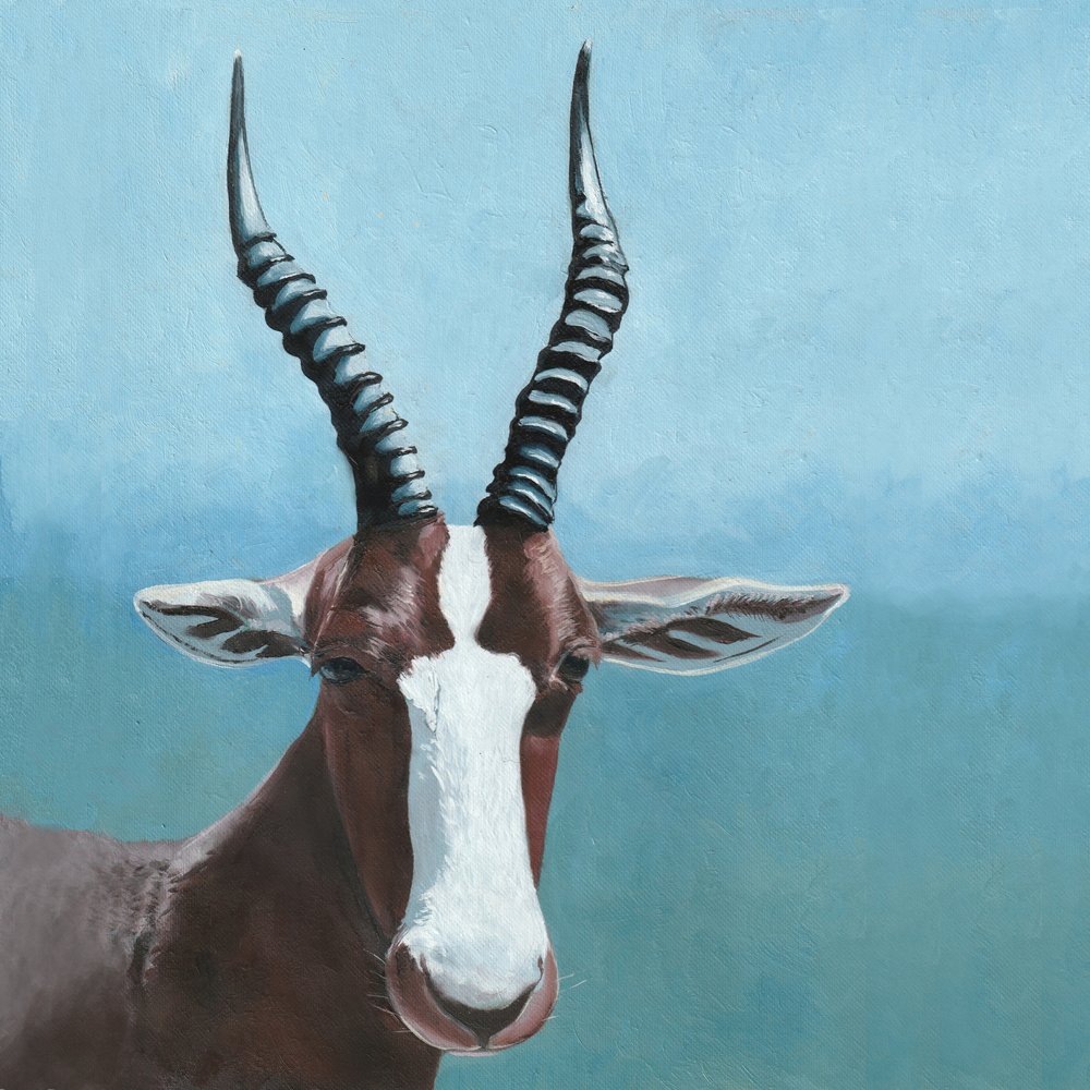 Spojrzenie antylopy blesbok autorstwa Viccy Wanliss