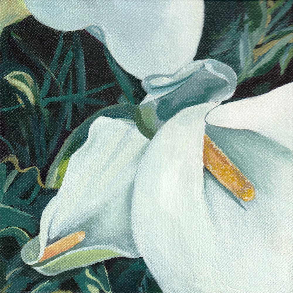 Eleganckie lilie calla autorstwa Viccy Wanliss