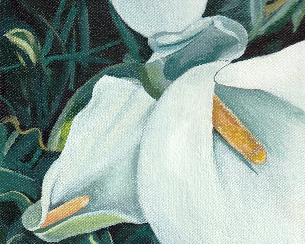 Eleganckie białe lilie autorstwa Viccy Wanliss