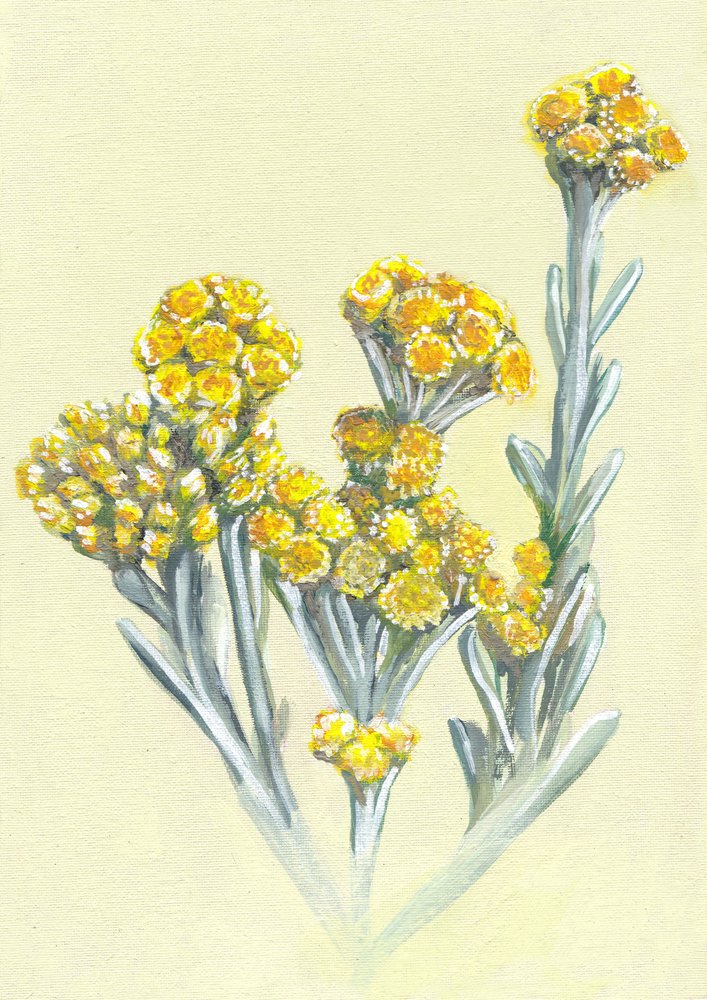  autorstwa Viccy Wanliss
