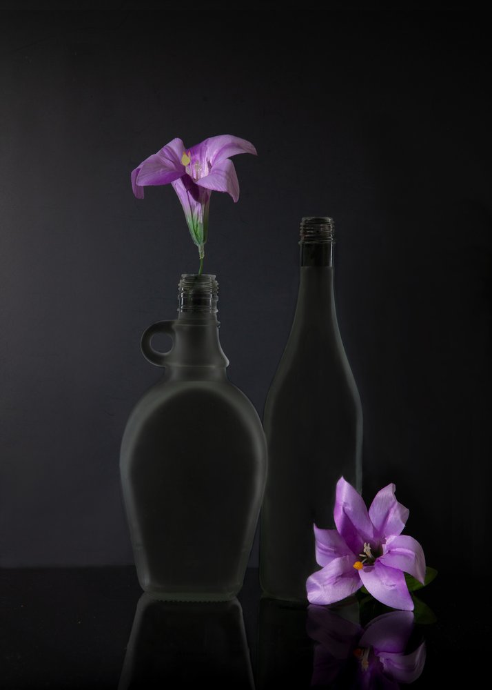  autorstwa Wendy Xu