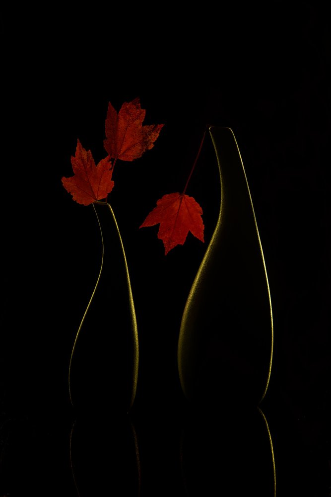  autorstwa Wendy Xu