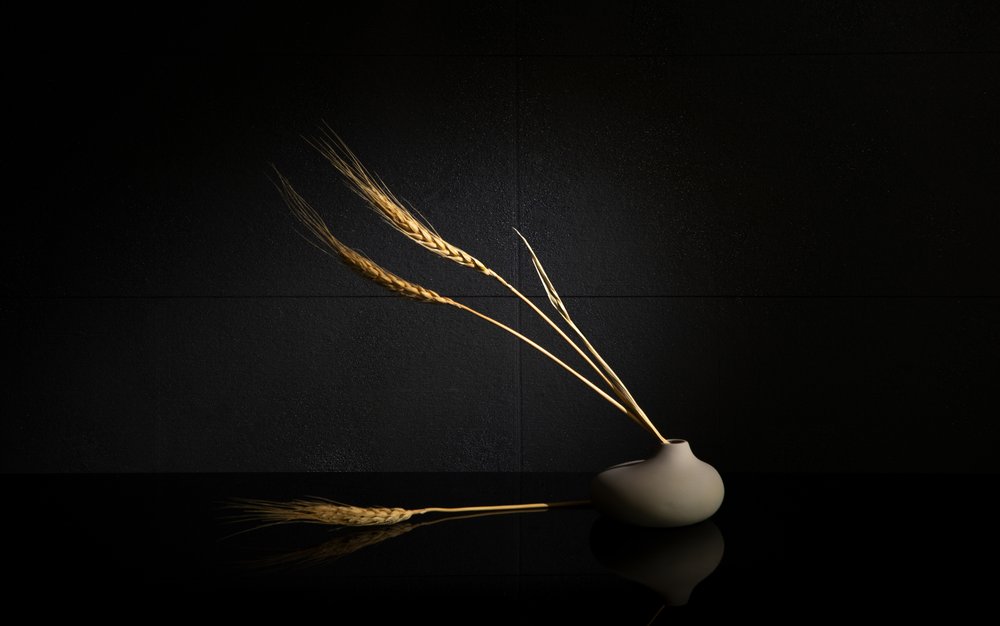  autorstwa Wendy Xu