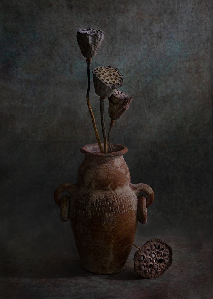  autorstwa Wendy Xu