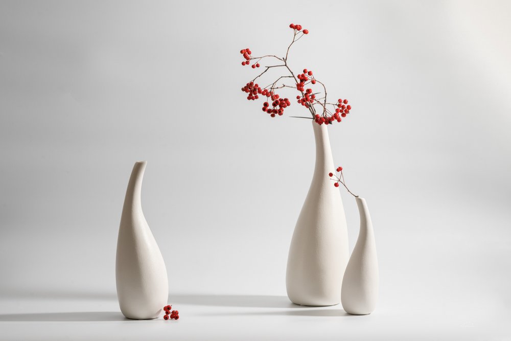 Eleganckie wazony z czerwonymi jagodami autorstwa Xiaoyuan Xu