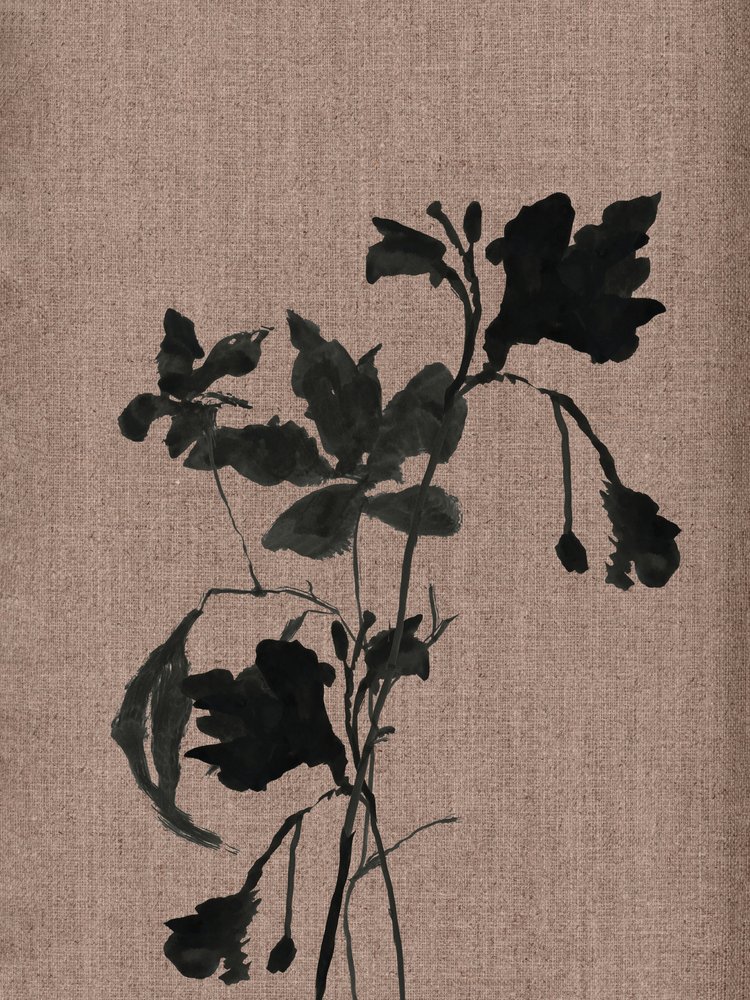  autorstwa cartissi