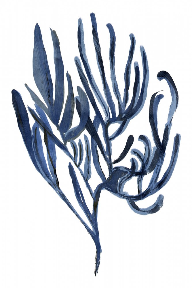 Głębokomorska flora autorstwa cartissi