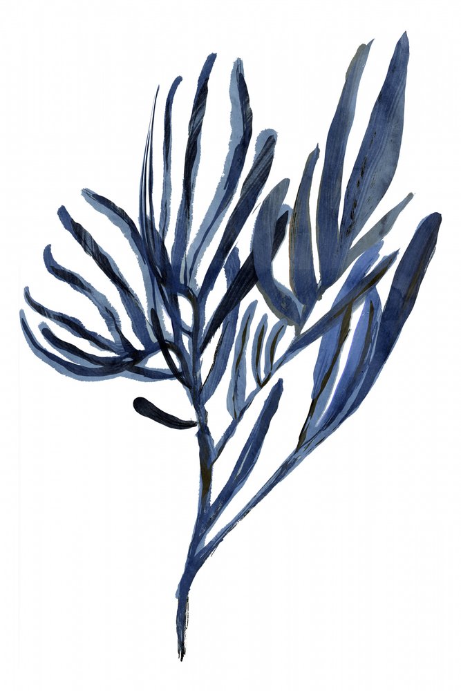 Gałęzie Indigo Botanical autorstwa cartissi