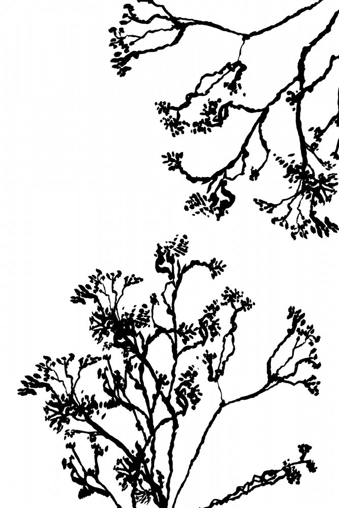  autorstwa cartissi