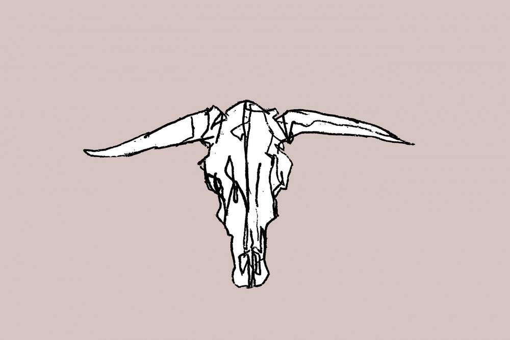 Minimalistyczna czaszka Longhorn autorstwa cartissi