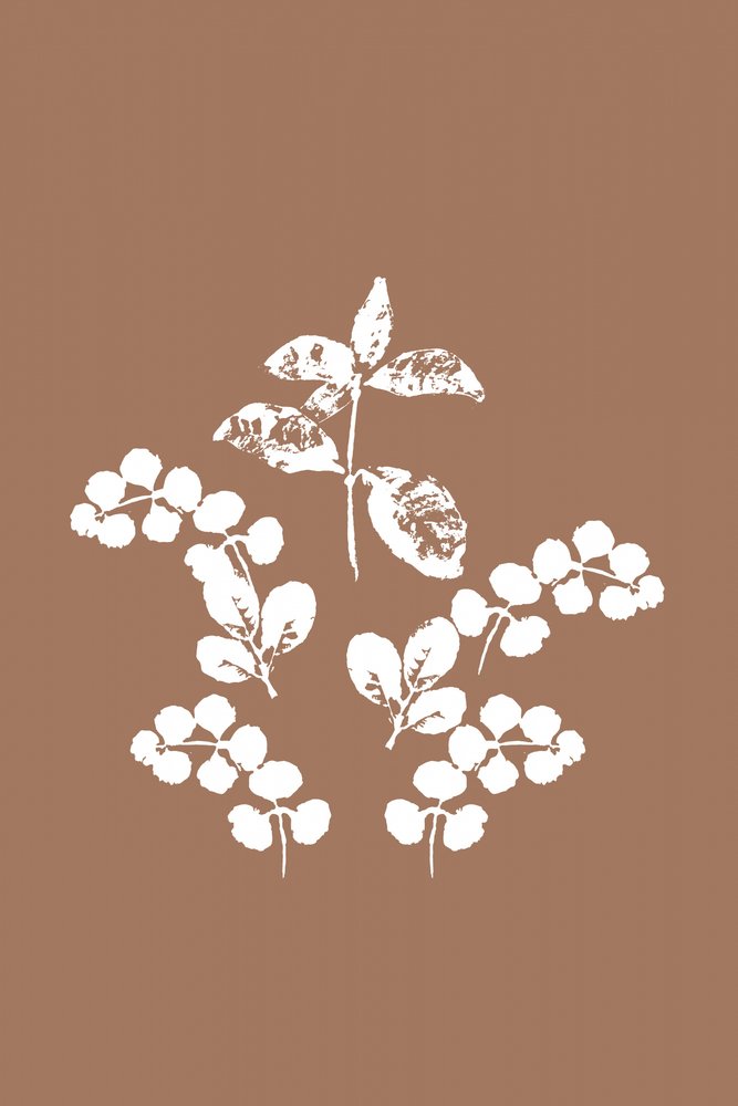 Minimalistyczne białe liście autorstwa cartissi