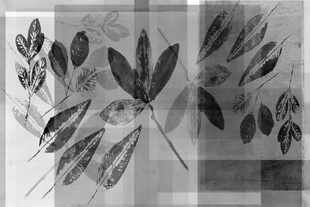 Monochromatyczne warstwy motywów roślinnych autorstwa cartissi