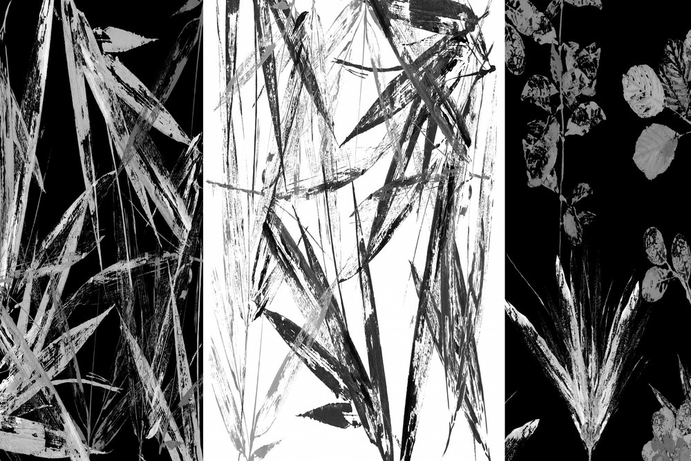 Monochromatyczne studium botaniczne autorstwa cartissi
