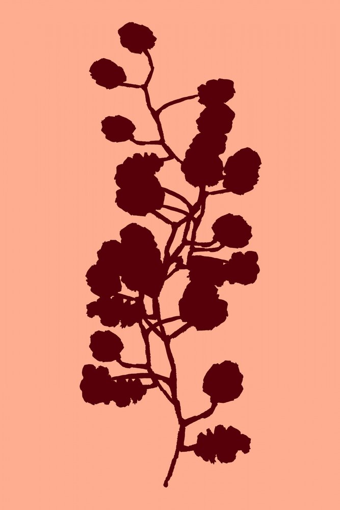 Botaniczna sylwetka brzoskwini autorstwa cartissi