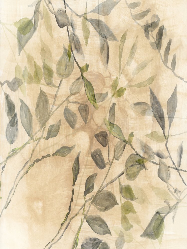  autorstwa cartissi