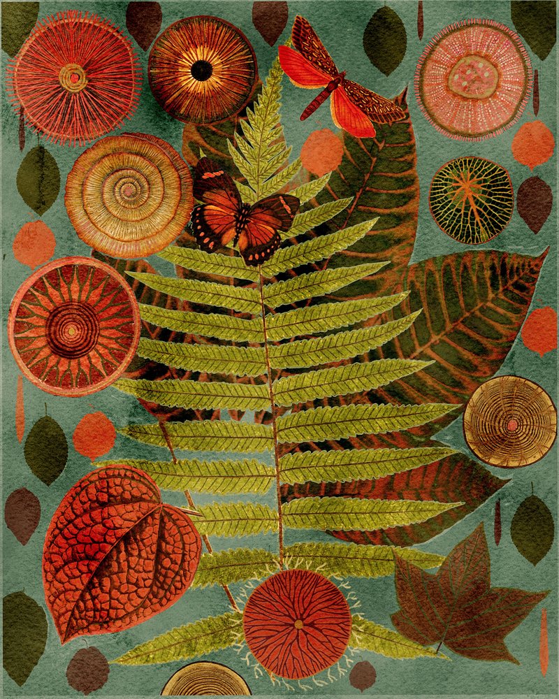  autorstwa giovanna nicolo