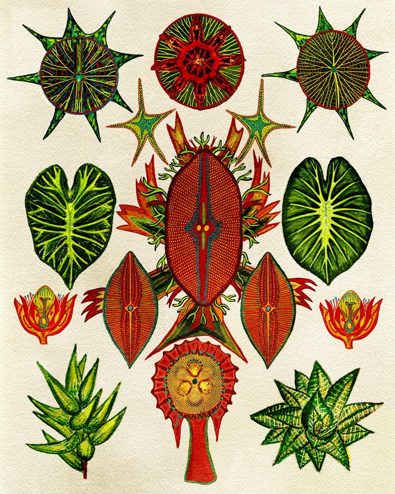  autorstwa giovanna nicolo