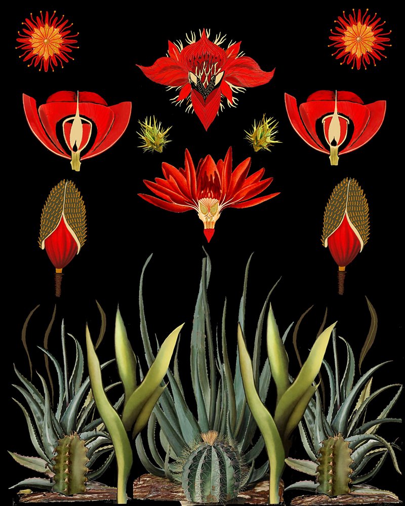  autorstwa giovanna nicolo