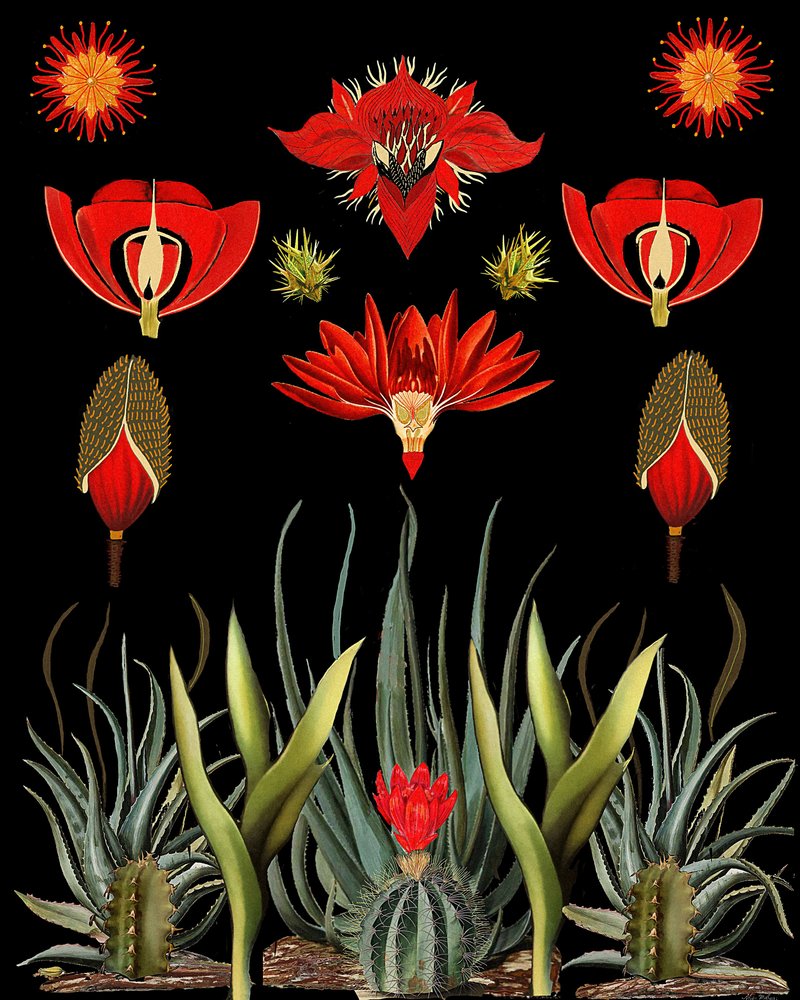  autorstwa giovanna nicolo