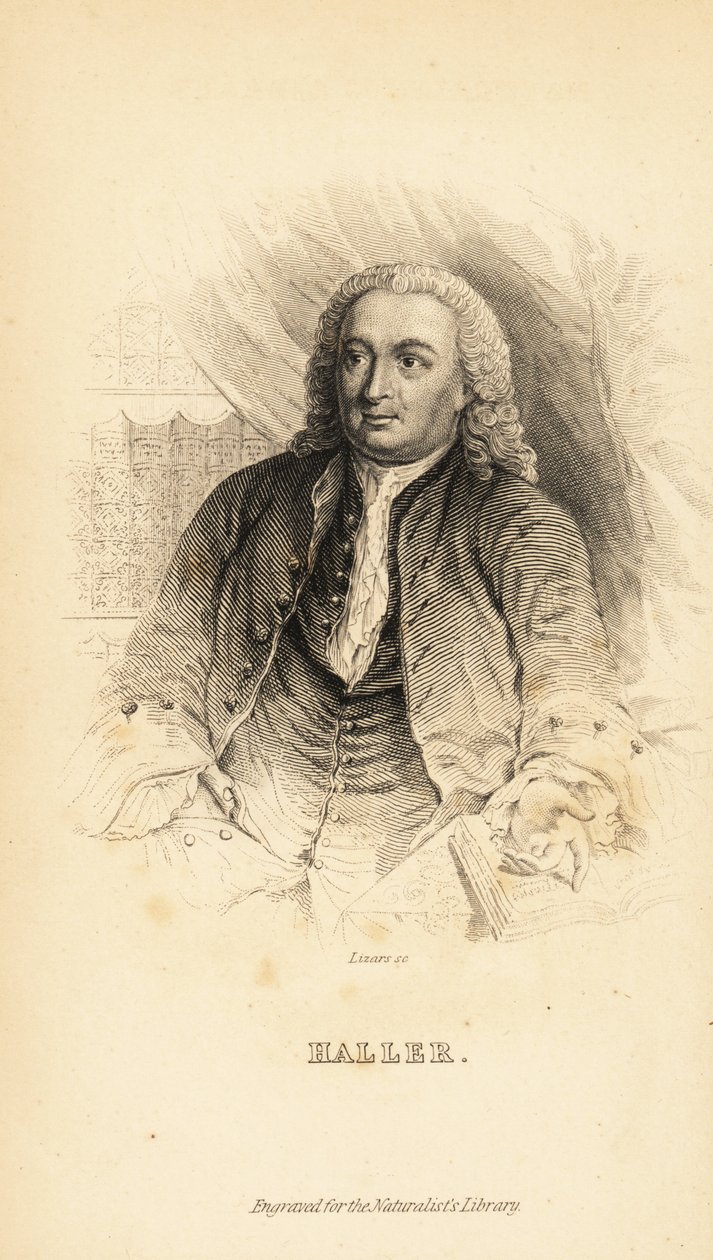 Albrecht von Haller, szwajcarski anatom, przyrodnik i poeta, 1708-1777 autorstwa Unknown
