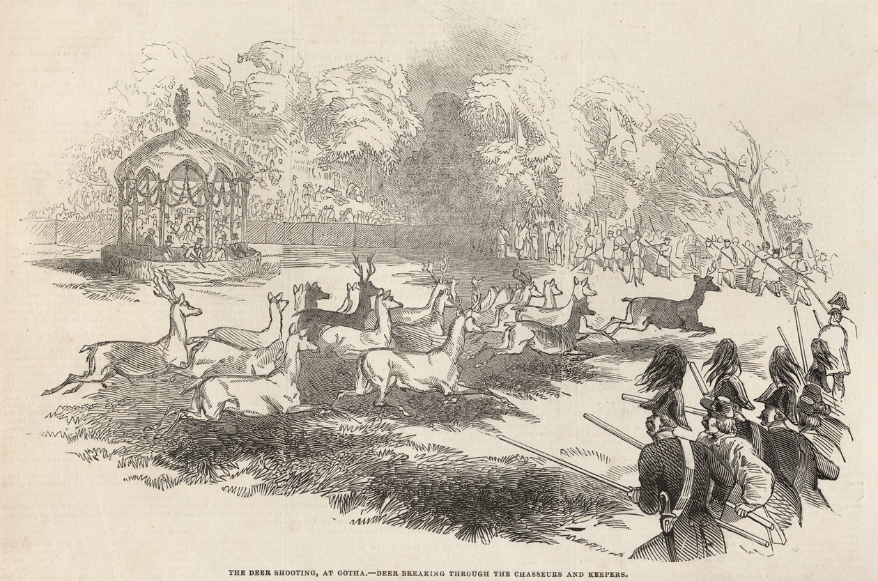 Strzelanie do jelenia w Gotha: Jeleń przebijający się przez Chasseurs and Keepers, z „The Illustrated London News”, 13 września 1845 99: polowanie; polowanie; strzelanie; myśliwi; pościg; Zwierząt; Ge autorstwa English School