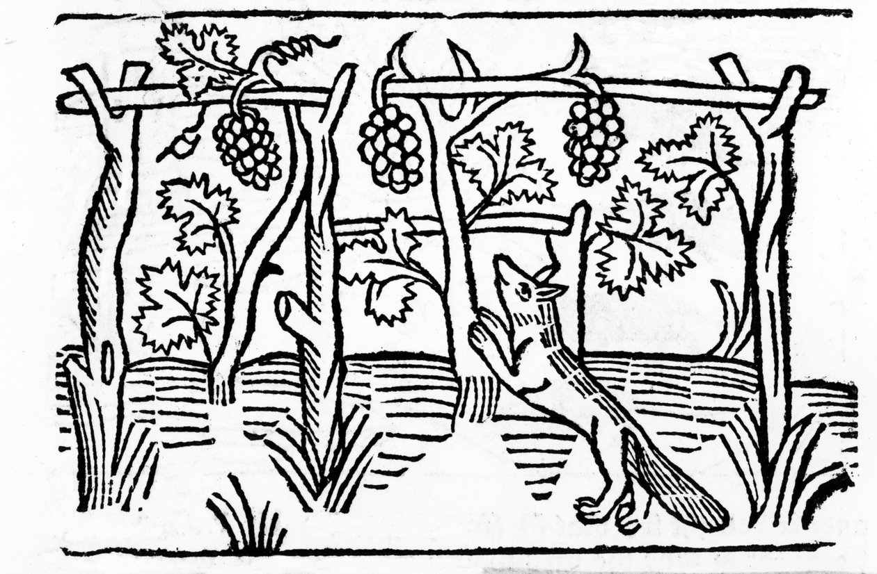 Lis i rodzynki, ilustracja z „Bajek Ezopa” Caxtona, 1484 (drzewryt) autorstwa English School