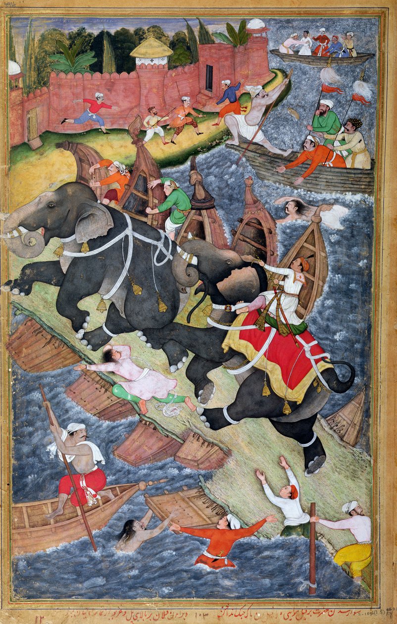 Akbar oswaja dzikiego słonia, Hawa