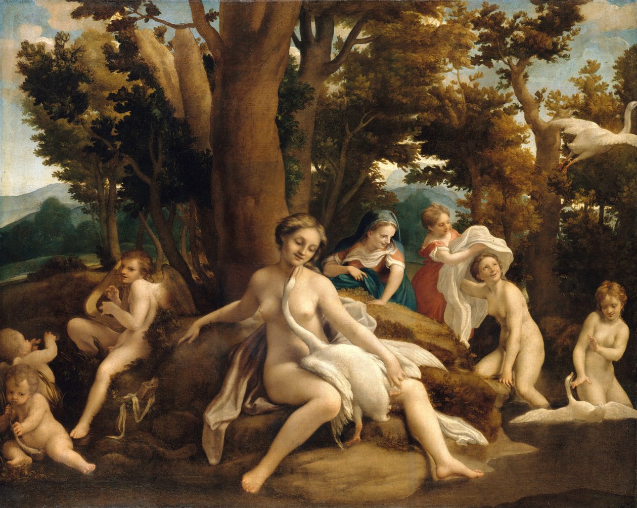 Leda i łabędź autorstwa Antonio da Correggio