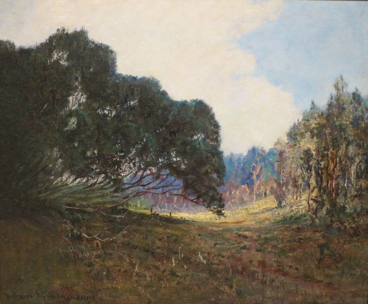Nieznany obraz autorstwa D. Howard Hitchcock