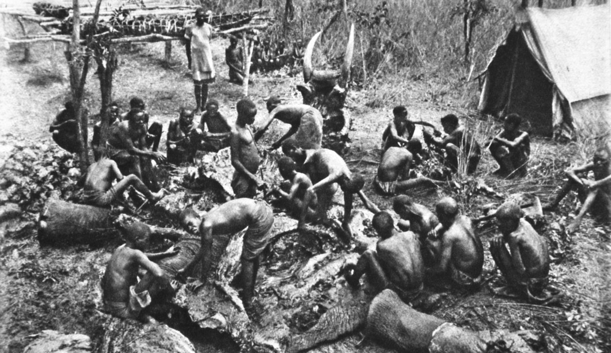 Zabity za racje mięsne dla naszych rodzimych oddziałów rodezyjskich, ilustracja z The Illustrated War News, wrzesień 1916 autorstwa English Photographer