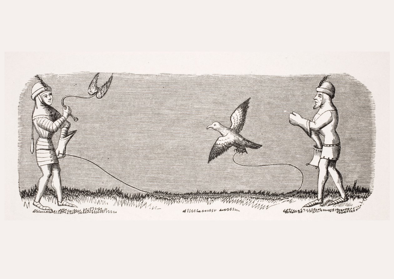 Jak wytresować nowego sokoła, reprodukcja miniatury z XIV-wiecznego rękopisu „Livre de Roy du Modus” Henri de Ferrieres, z pubu „Le Moyen Age et La Renaissance” Paula Lacroix (1806–84) autorstwa French School