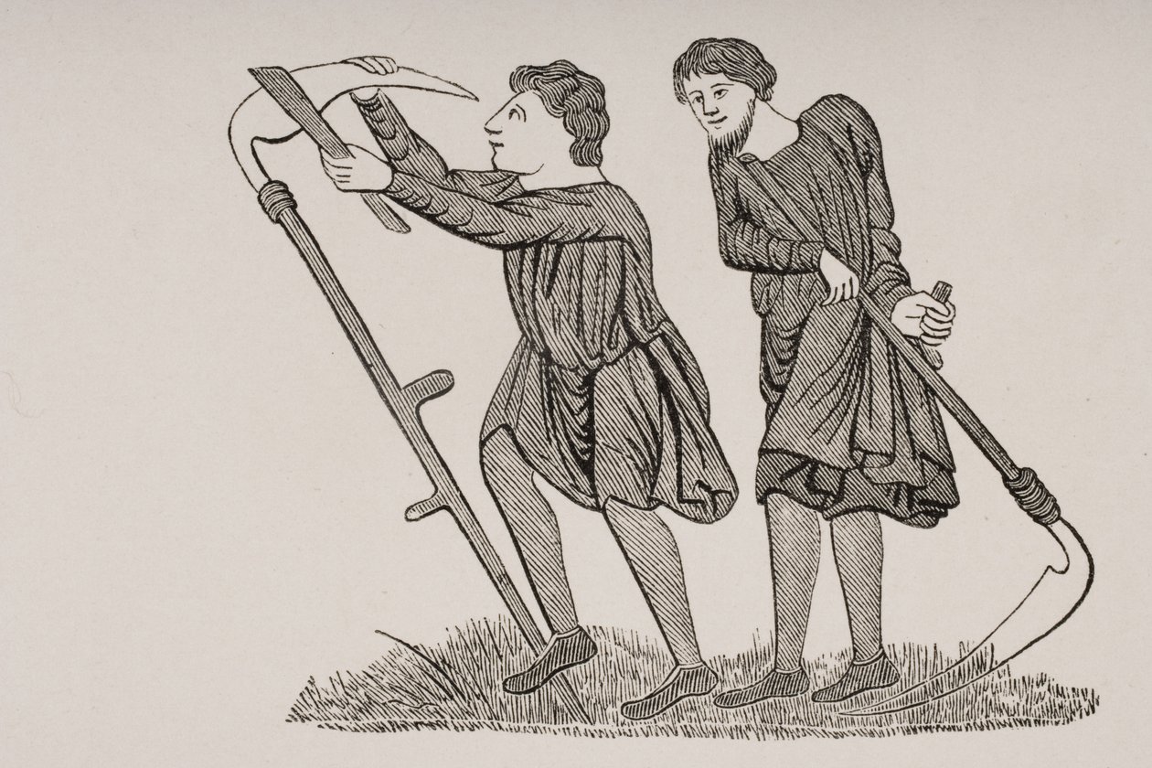 Poddani pracujący na polach z kosami, według miniatury w rękopisie z XII wieku, z „Le Moyen Age et La Renaissance” Paula Lacroix (1806–84) opublikowanej w 1847 r. autorstwa French School