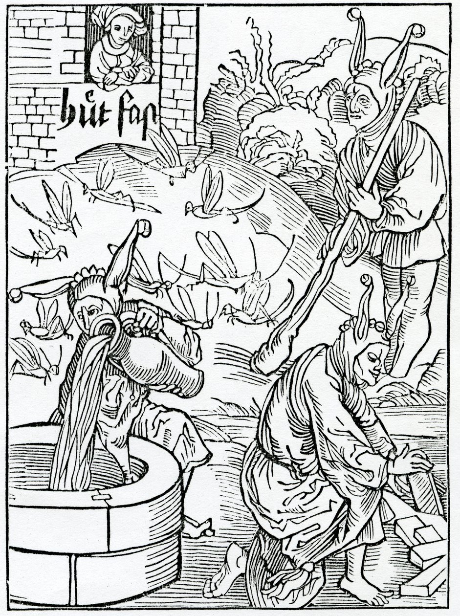 O nim, który jest zazdrosny o swoją żonę i bez powodu patrzy na jego drogi, lub euydent tokyn hir myslyuynge, ilustracja z angielskiego przekładu Aleksandra Barclay „Statek głupców”, z autorstwa German School