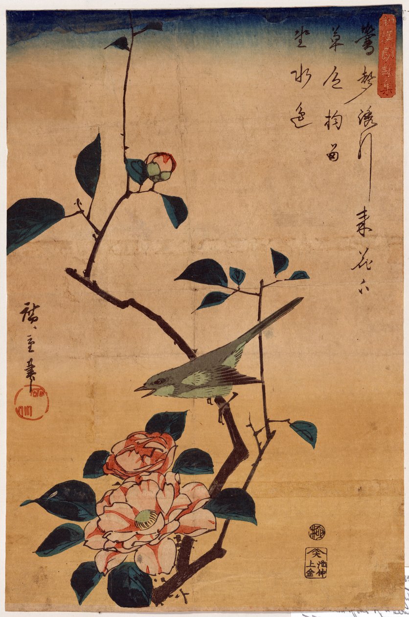 Tsubaki ni Uguisu (kamelia i gajówka) autorstwa Utagawa Hiroshige