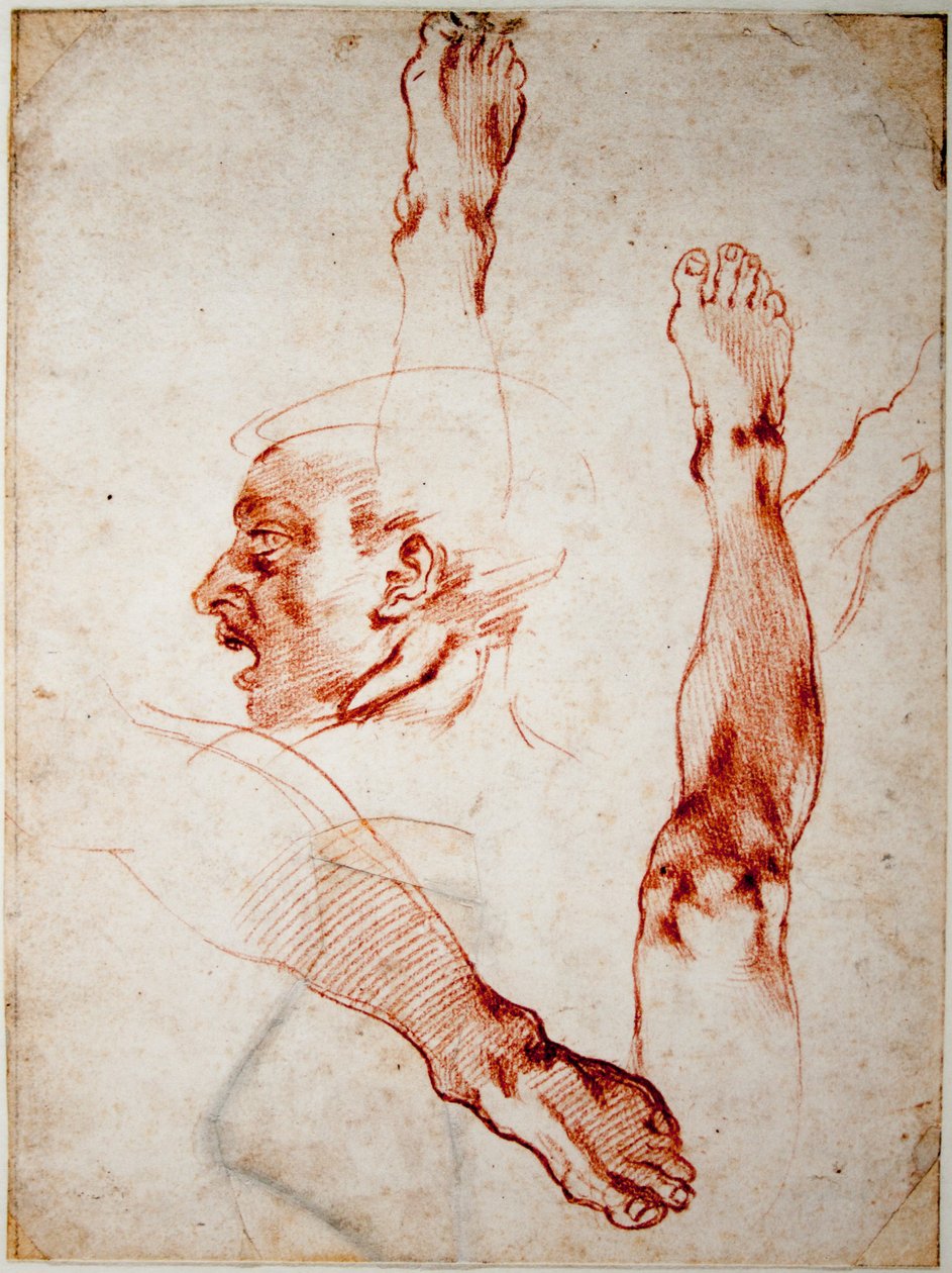 Męska głowa z profilu, badania kończyn autorstwa Michelangelo Buonarroti