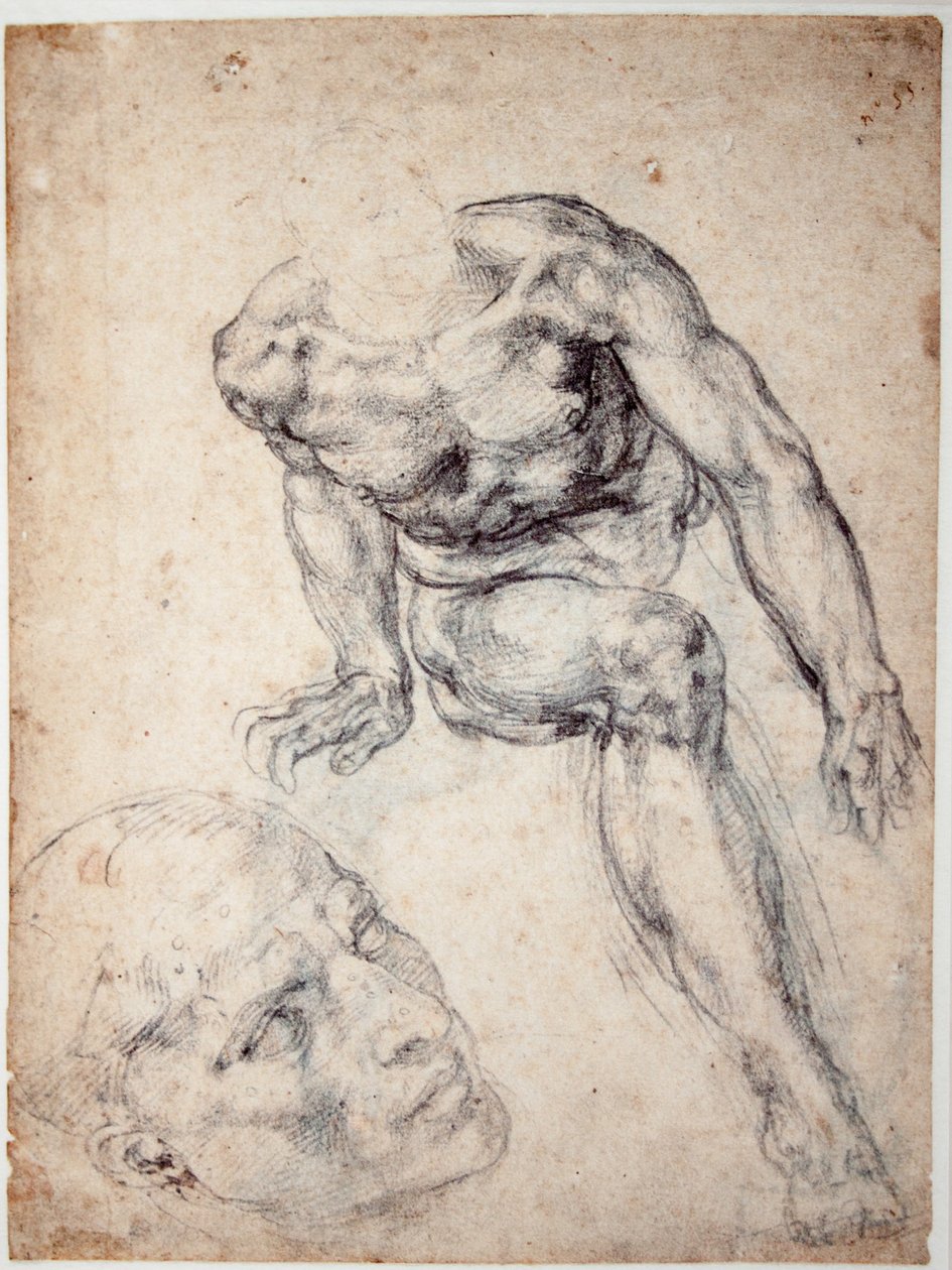 Studium aktu męskiego, oddzielne Studium jego głowy autorstwa Michelangelo Buonarroti