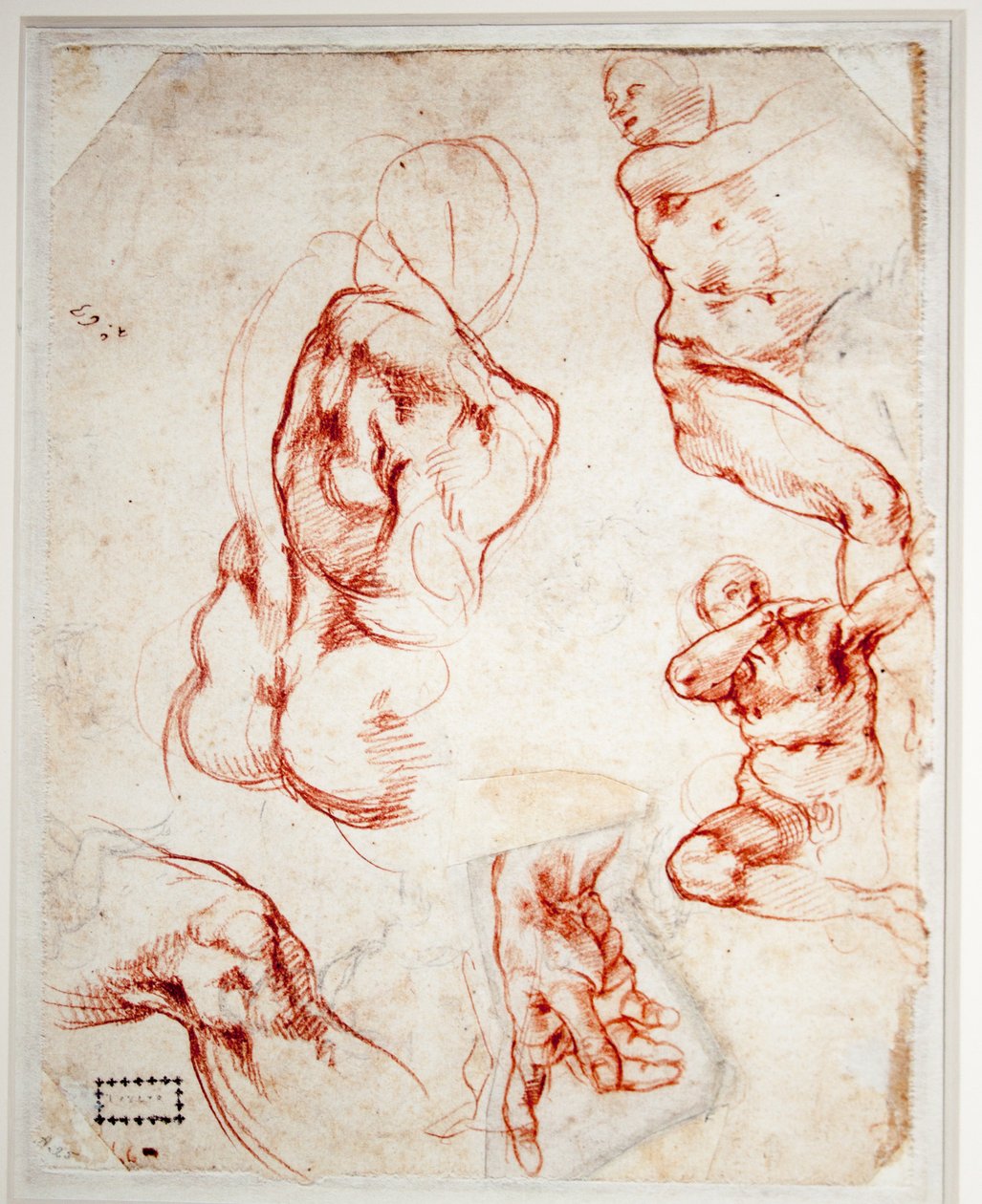 Studiuj o rękę Boga (stworzenie Adama) autorstwa Michelangelo Buonarroti